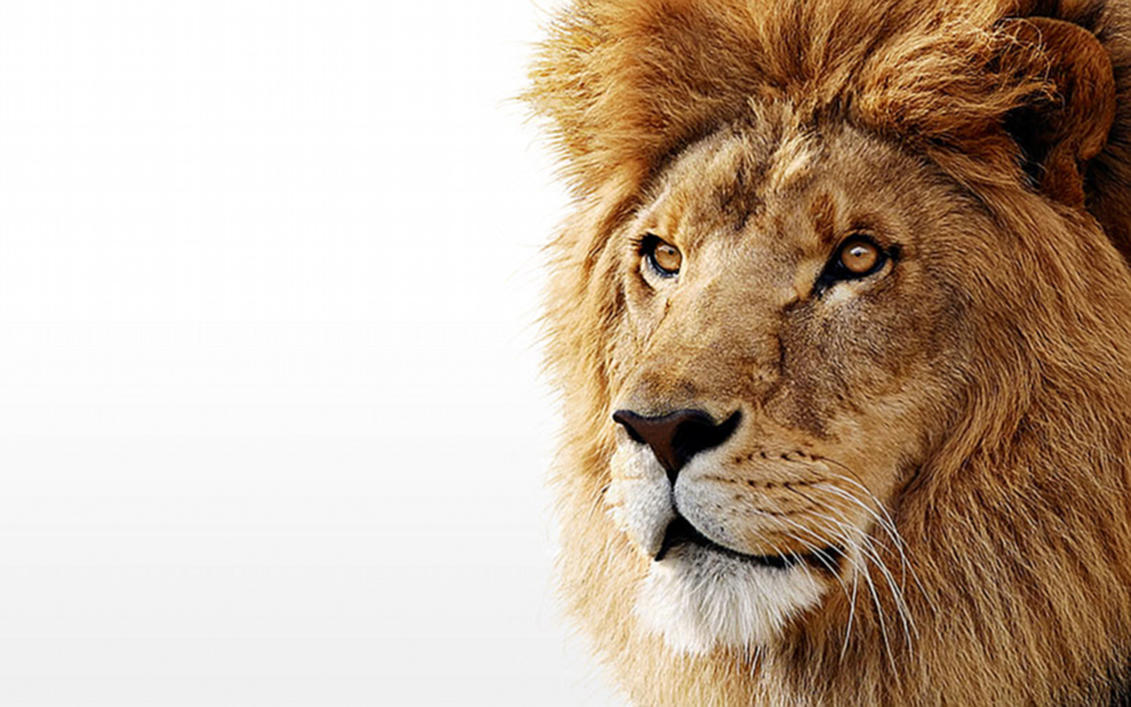 Apple Os X Lion Wallpaper Hd