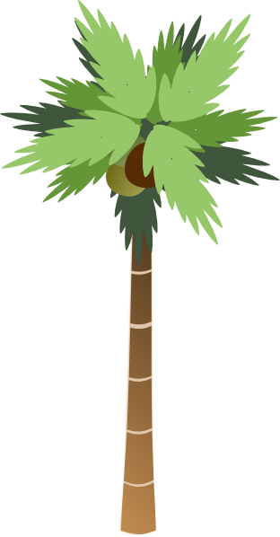 Coconut Palm Tree Clip Art