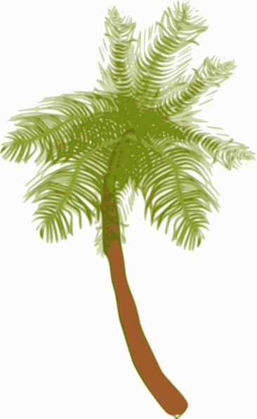 Coconut Palm Tree Clip Art