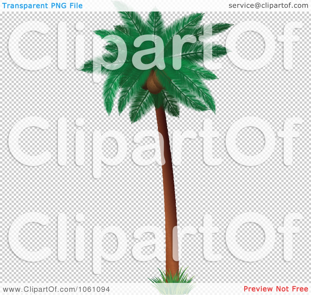 Coconut Palm Tree Clip Art