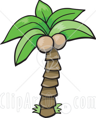 Coconut Palm Tree Clip Art