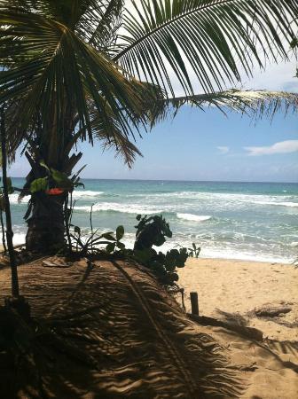 Coconut Palms Resort Cabarete