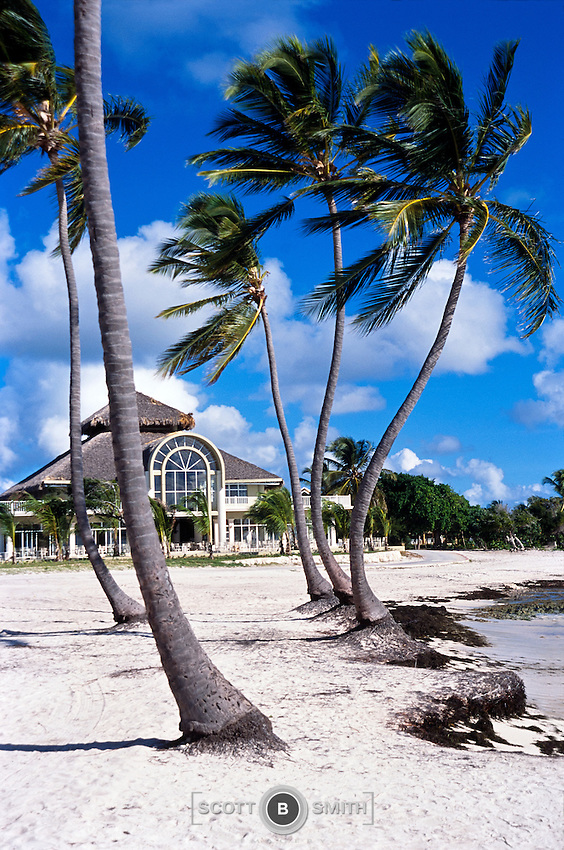 Coconut Palms Resort Dominican Republic