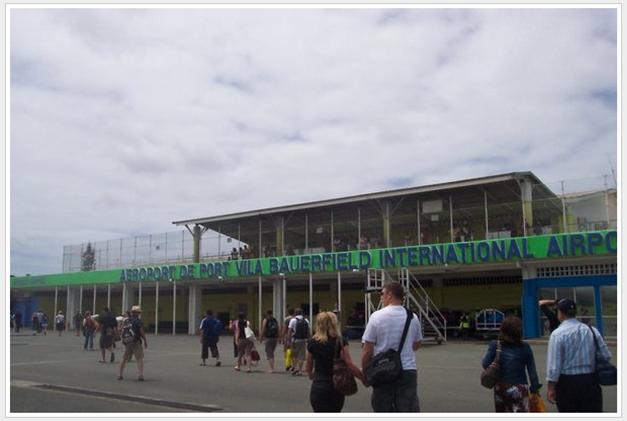 Coconut Palms Vanuatu Port Vila