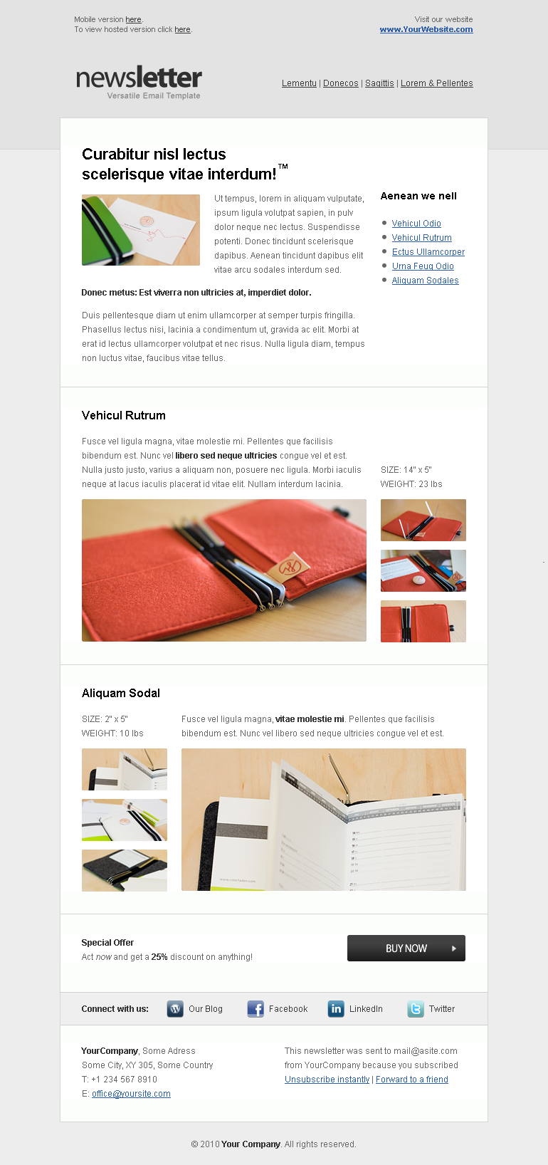 Email Newsletter Layout