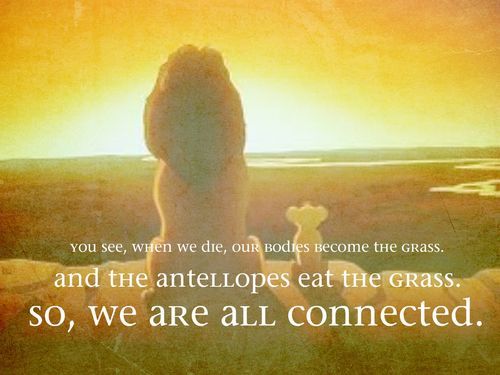 Funny Lion King Quotes