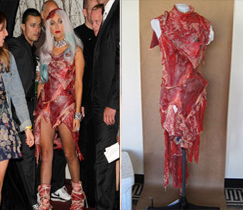 Lady Gaga Meat Dress Costume For Halloween