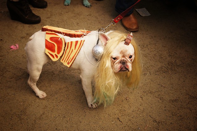 Lady Gaga Meat Dress Costume For Halloween