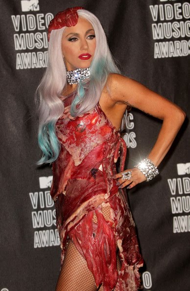 Lady Gaga Meat Dress Costume Ideas