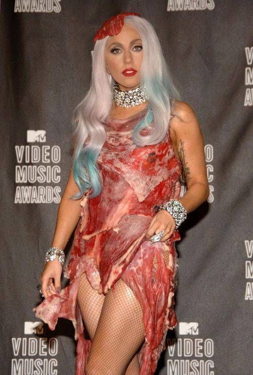 Lady Gaga Meat Dress Costume Ideas