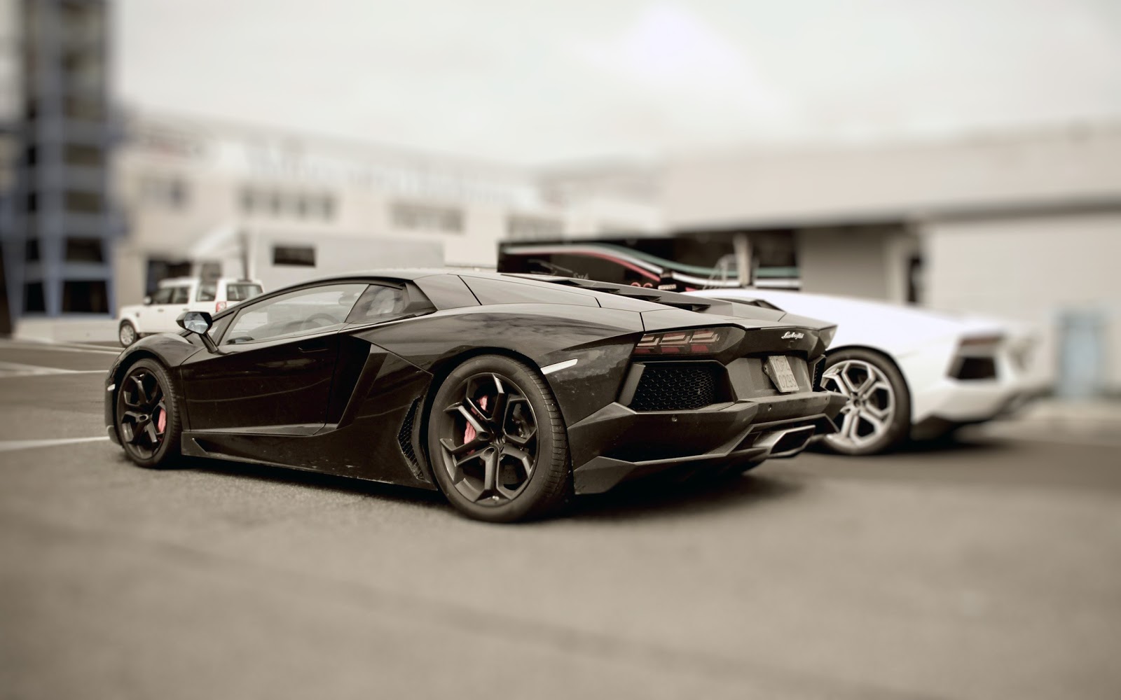 Lamborghini Aventador Black And White