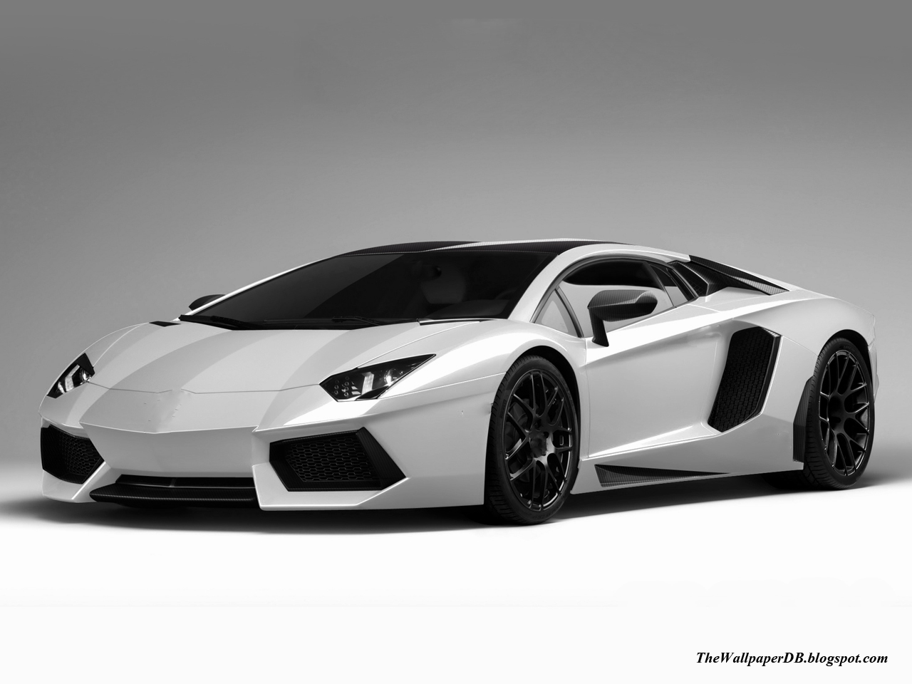 Lamborghini Aventador White Background