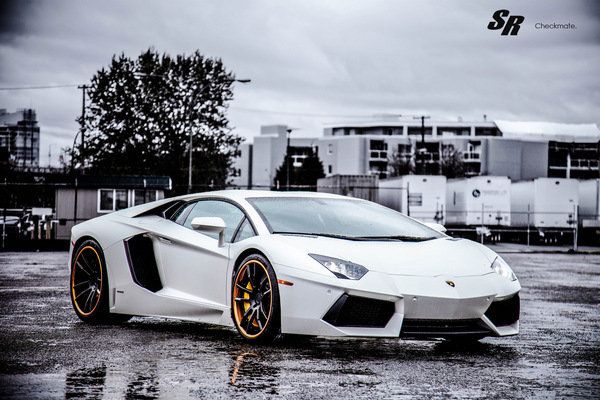 Lamborghini Aventador White Background