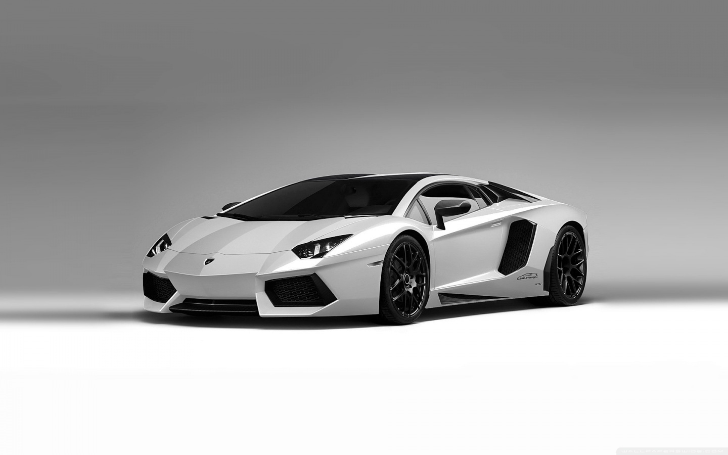 Lamborghini Aventador White Wallpaper