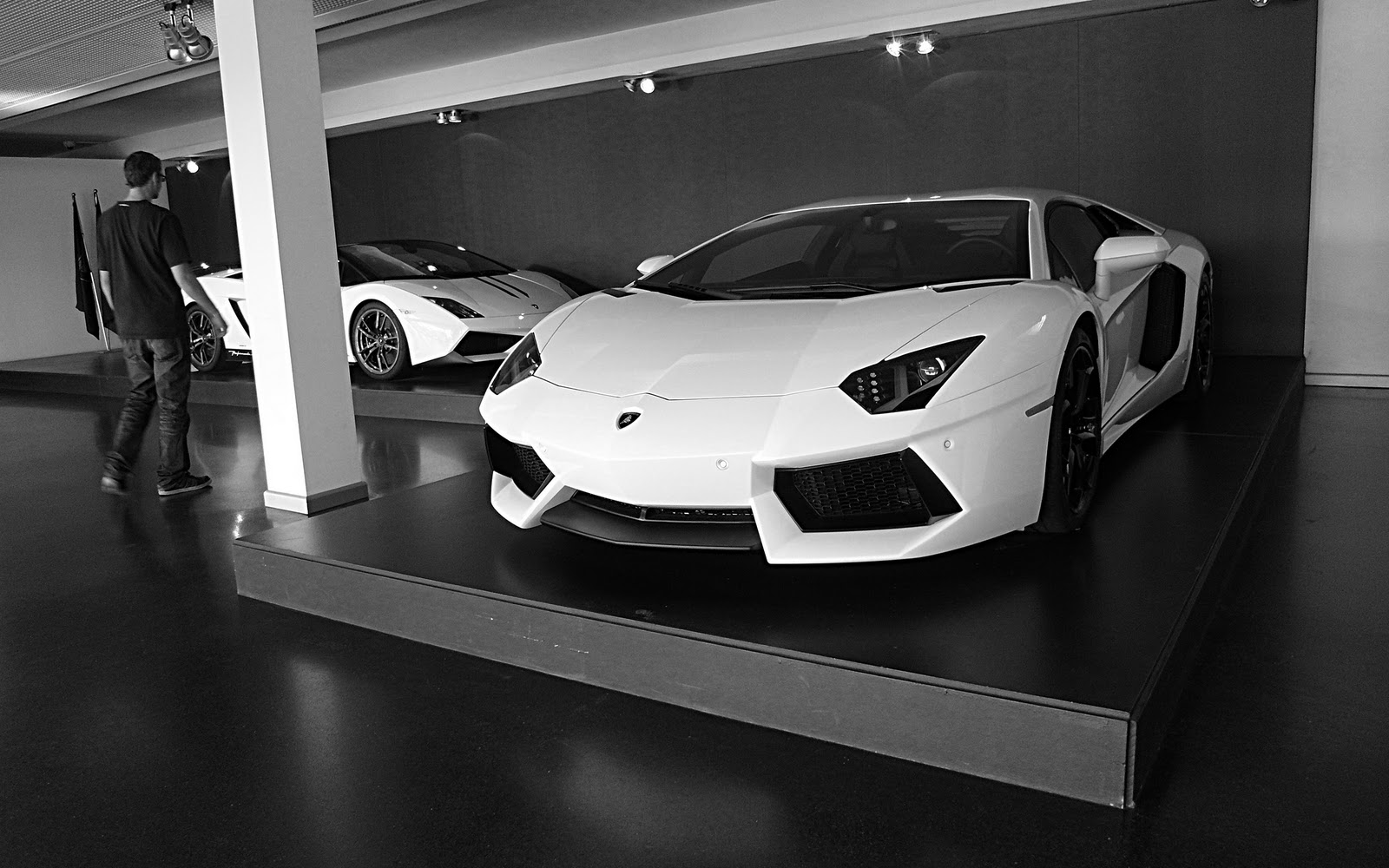 Lamborghini Aventador White Wallpaper Hd