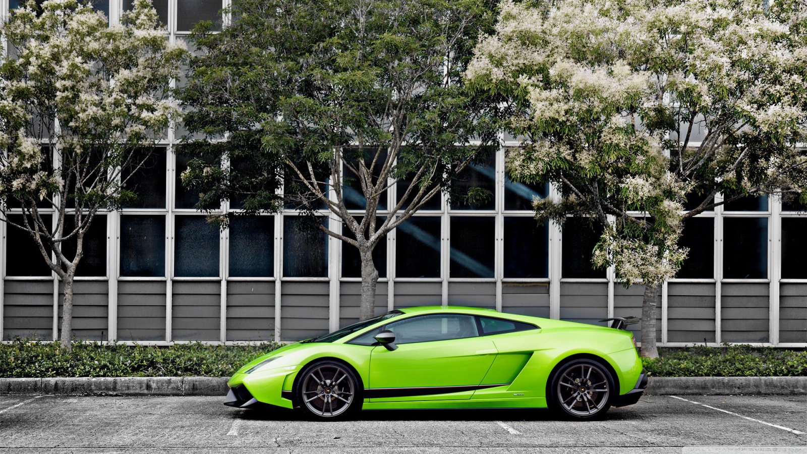 Lamborghini Gallardo Superleggera Hd Wallpaper