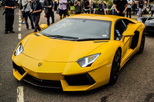 Lamborghini Mercy Car