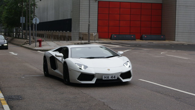 Lamborghini Mercy Logo