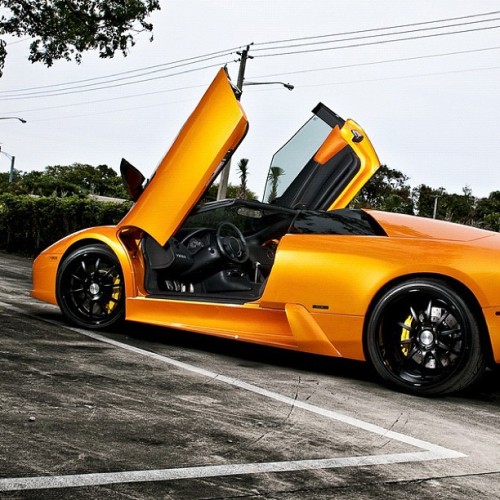 Lamborghini Mercy Swerve Meaning