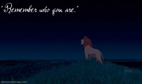 Lion King Quotes Mufasa And Simba