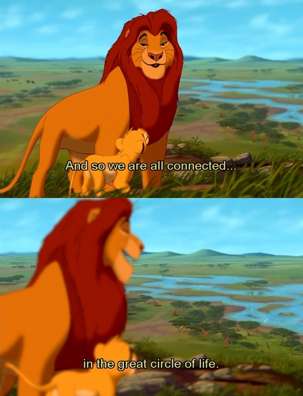 Lion King Quotes Rafiki