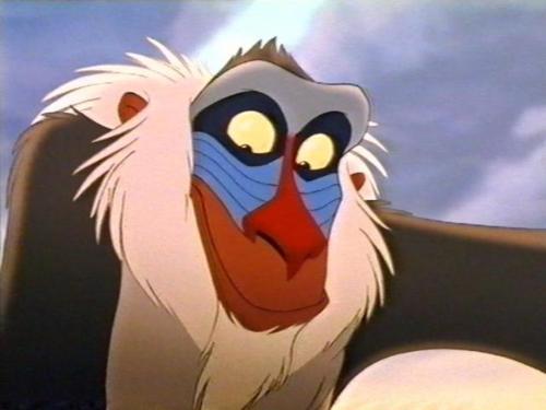 Lion King Quotes Rafiki Past