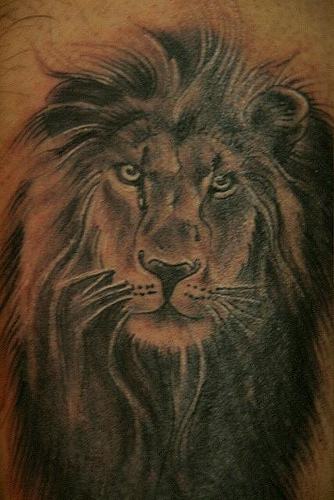 Lion Tattoo Ideas For Men