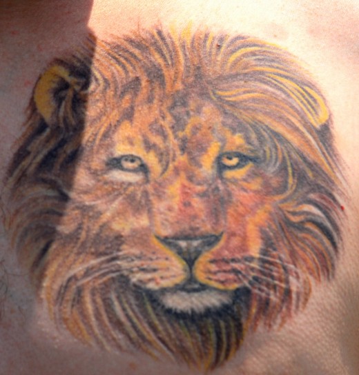 Lion Tattoo Ideas For Women