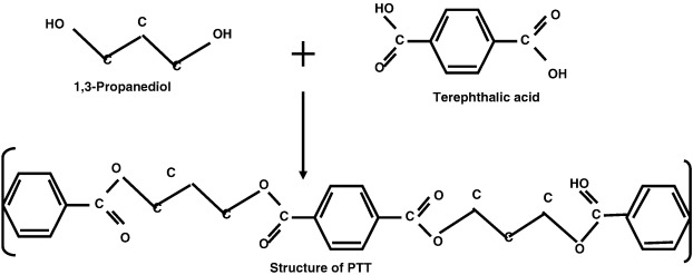 Polytrimethylene Terephthalate